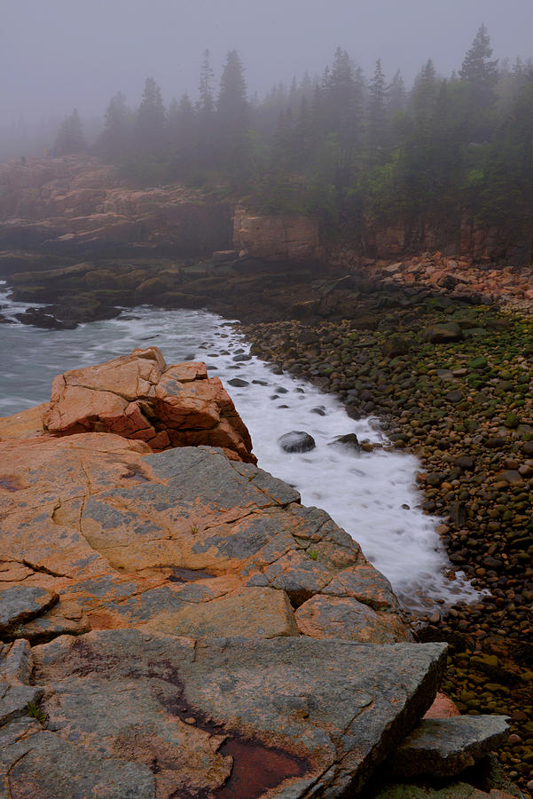Monument Cove In The Fog Photograph by Stephen Vecchiotti
