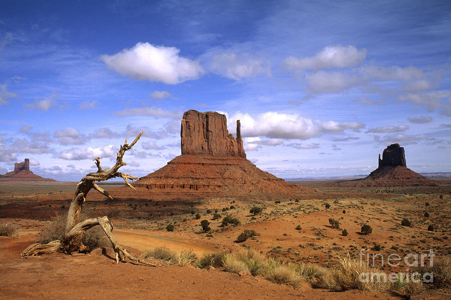 Monument Valley Photograph by Bill Bachmann