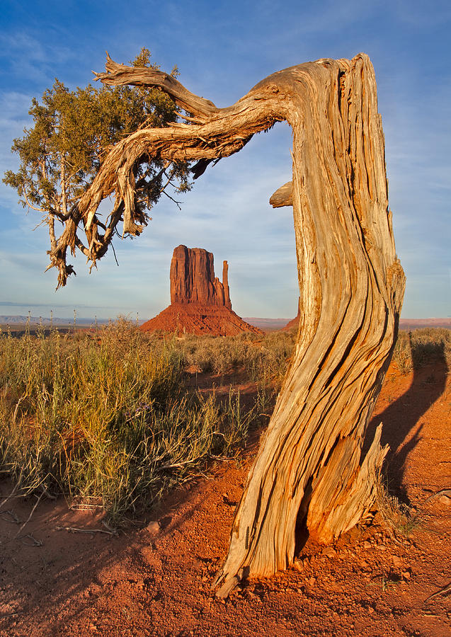 Monument Valley Classic Photograph by Susan Candelario