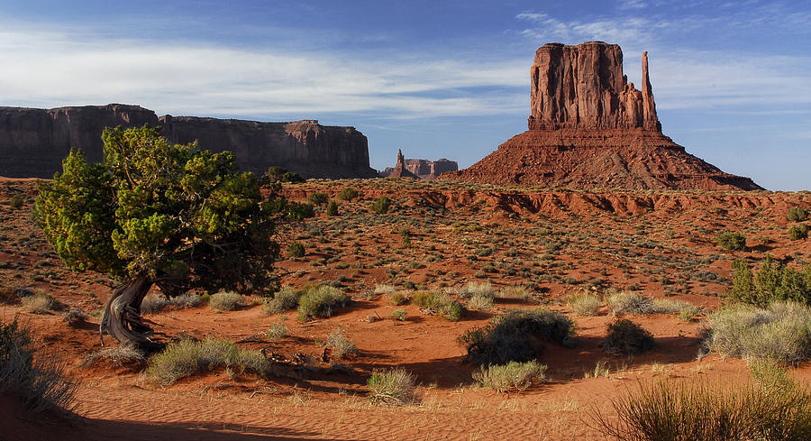 Monument Valley Photograph by Dave Mills