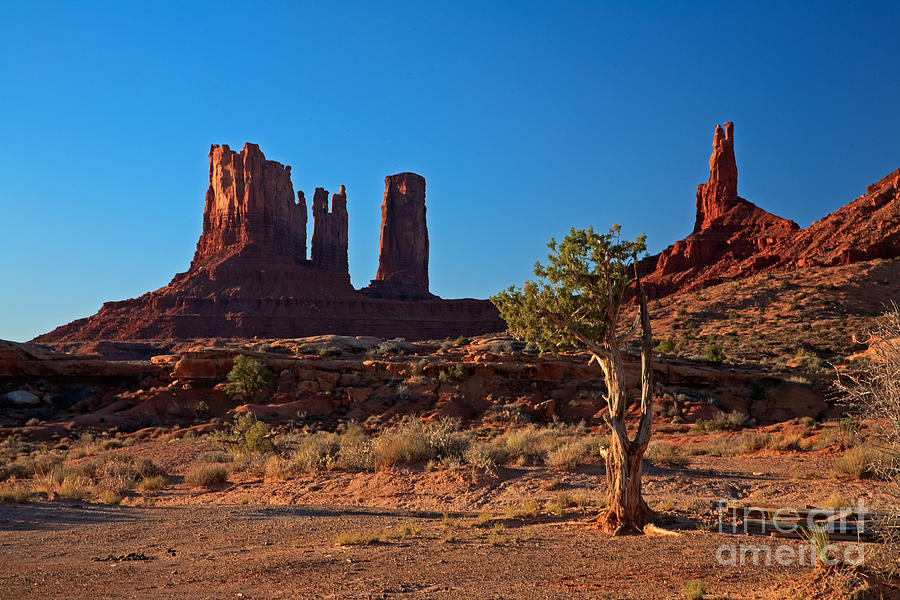 Monument Valley Photograph by Fred Stearns
