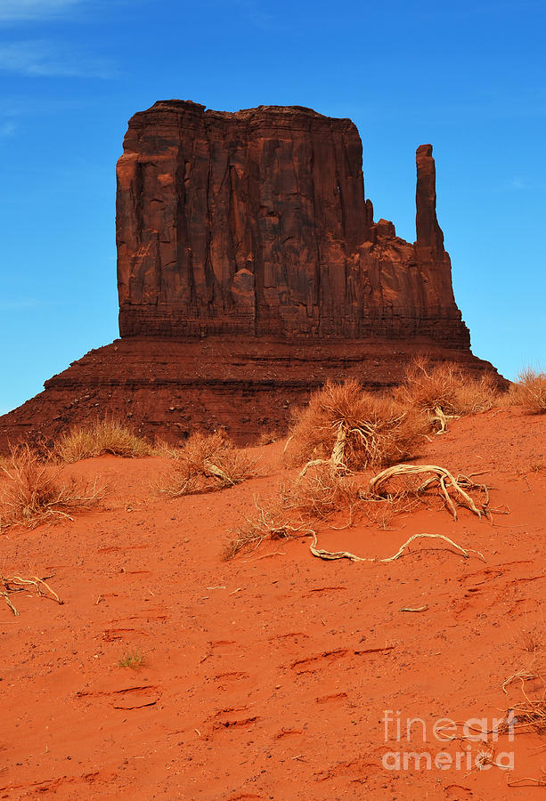 Monument Valley Mitten Monolith Scenic Landscape Vertical Photograph by Shawn OBrien
