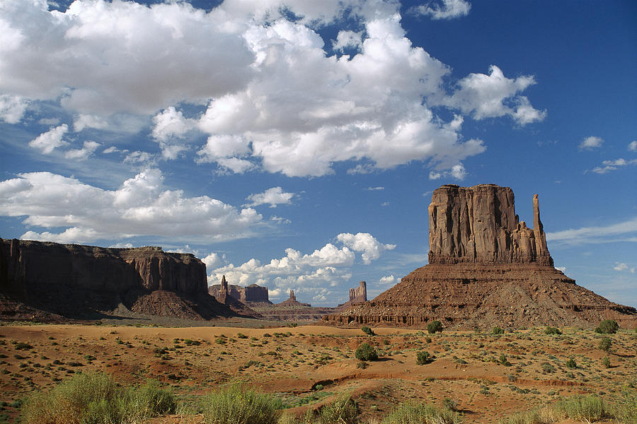 Monument Valley Navajo Tribal Park Photograph by Tim Fitzharris