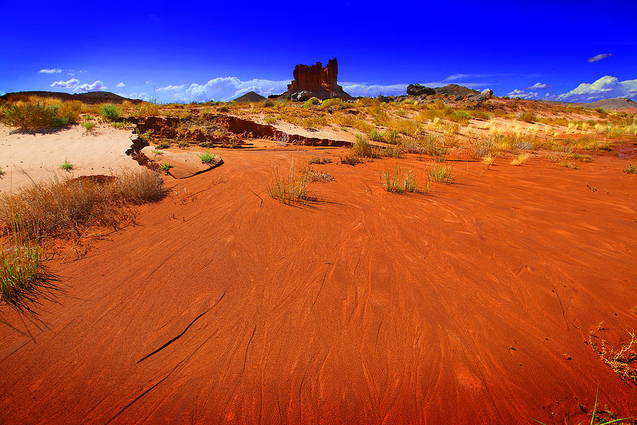 Monument Valley Utah USA #14 Photograph by Richard Wiggins