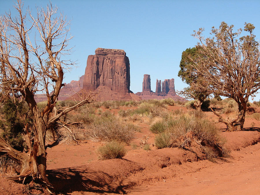 Monument Valley Photograph by Sue Leonard