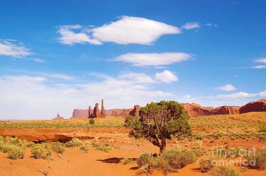 Monument Valley Totem Poles Photograph by Debra Thompson