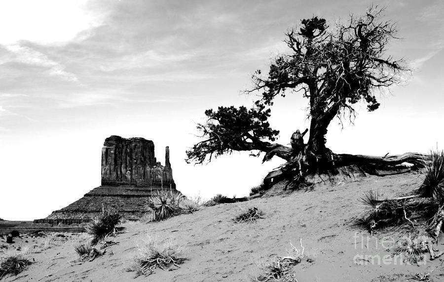 Monument Valley Tree and Monolith Scenic Landscape Black and White Conte Crayon Digital Art Digital Art by Shawn OBrien