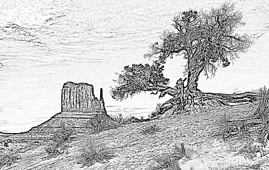 Monument Valley Tree and Monolith Scenic Landscape Black and White Digital Art Digital Art by Shawn OBrien