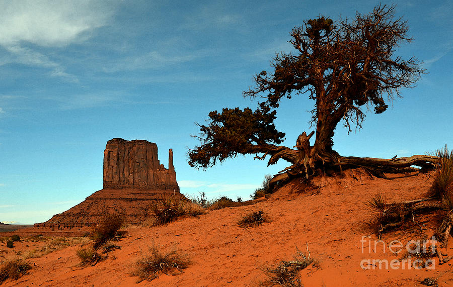 Monument Valley Tree and Monolith Scenic Landscape Black and White Watercolor Digital Art Photograph by Shawn OBrien