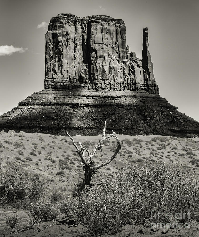 Monument Valley Photograph by Will Moneymaker Monument Valley Photograph by Will Moneymaker