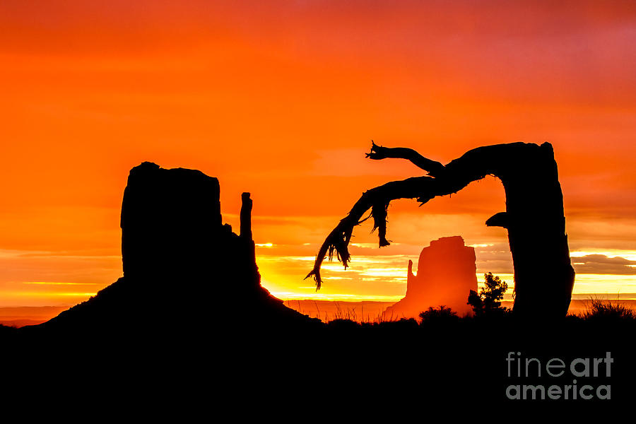 Monumental Sunrise Photograph by Nicholas  Pappagallo Jr