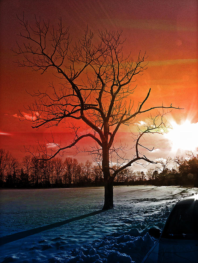 Winter Photograph - Mood with a tree by Allen Beilschmidt