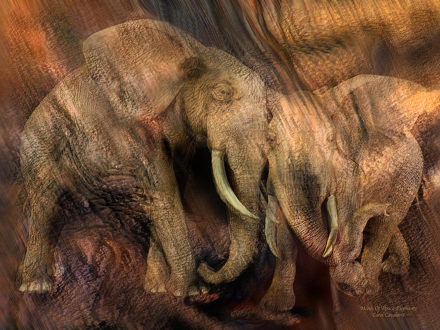 Moods Of Africa - Elephants Mixed Media by Carol Cavalaris