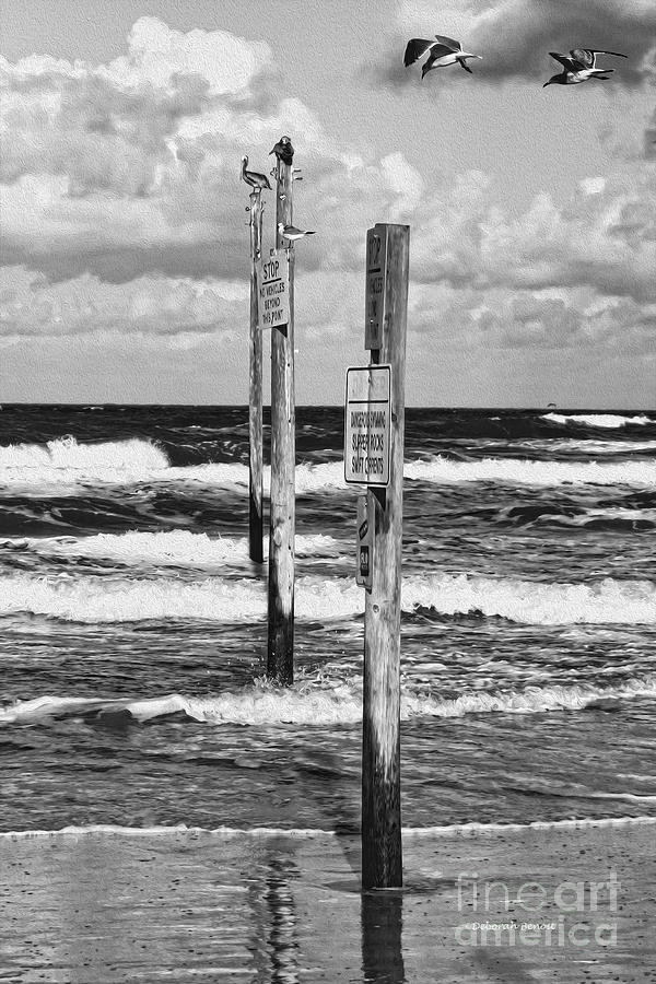 Moody Beach Day Photograph by Deborah Benoit