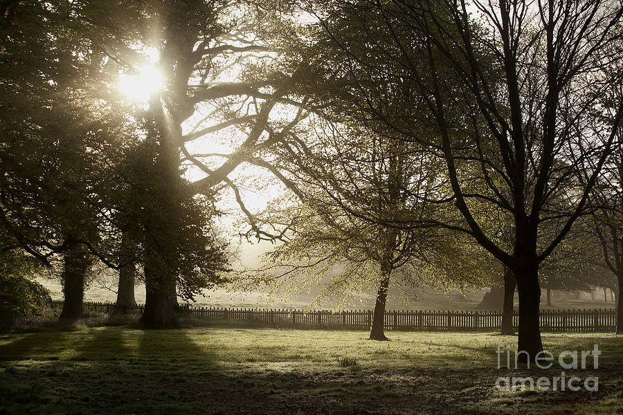 Moody Cycle Trail Photograph by Paul Felix | Fine Art America