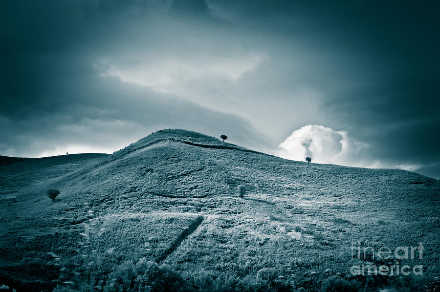 Moody Hill Photograph by Silvia Ganora