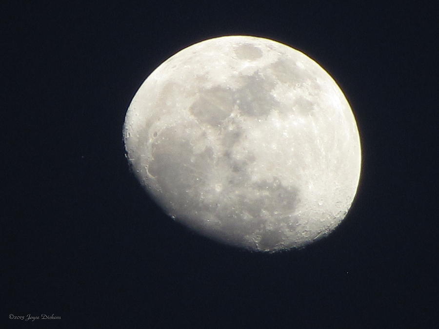 Moon 022113 Photograph by Joyce Dickens