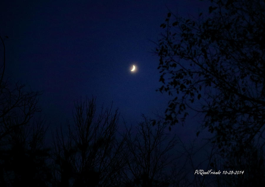 Moon and Earthshine Photograph by PJQandFriends Photography