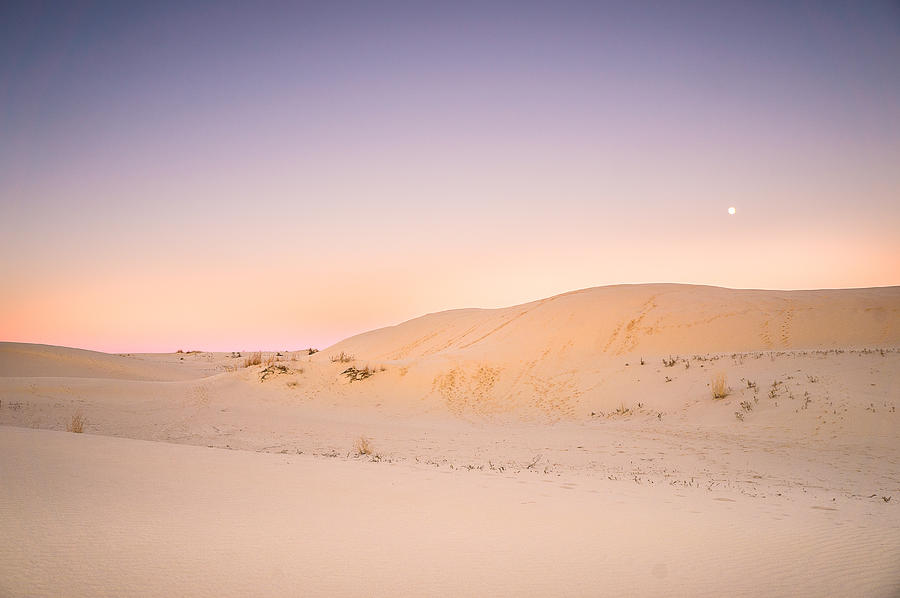 Abstract Photograph - Moon and Sand Dune in Twilight by Ellie Teramoto