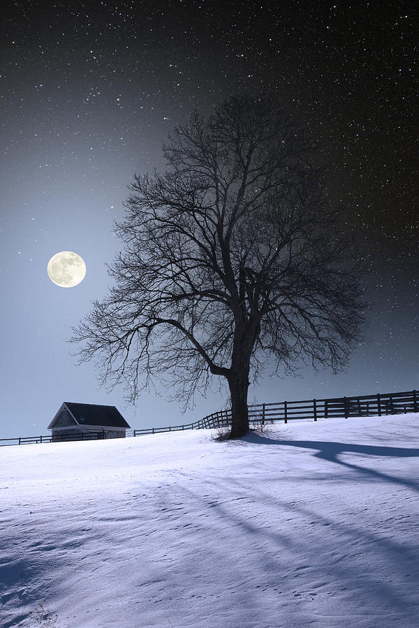 Moon and Snow Photograph by Larry Landolfi