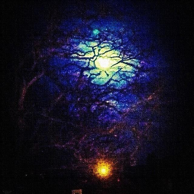 Moon And Streetlamp Through Trees Photograph by Urbane Alien