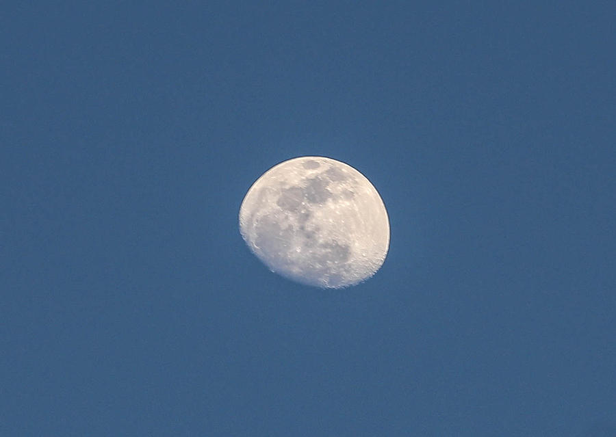 Moon And The Deep Blue Photograph