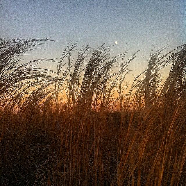 Hhi Photograph - Moon And The Sand Dunes #hhi by Spencer Krueger