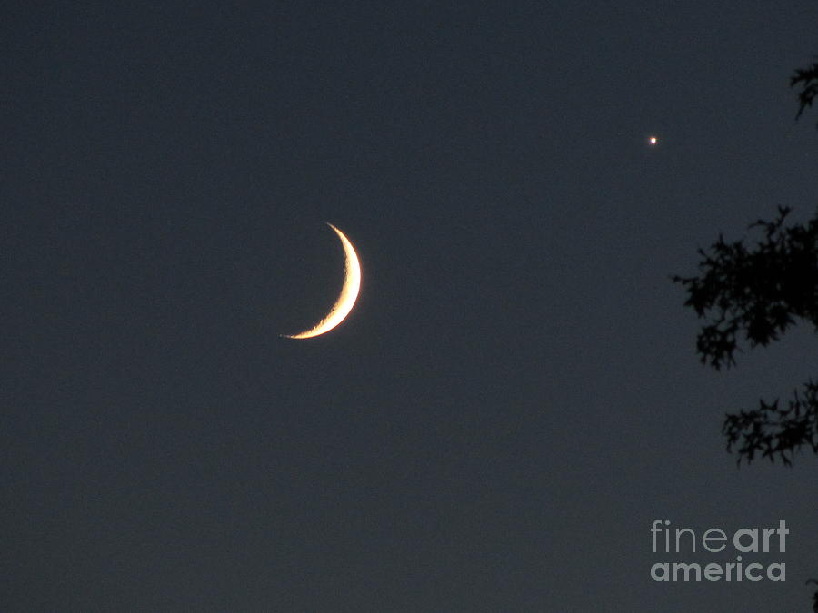 Moon And Venus - Luna Photograph by Susan Carella