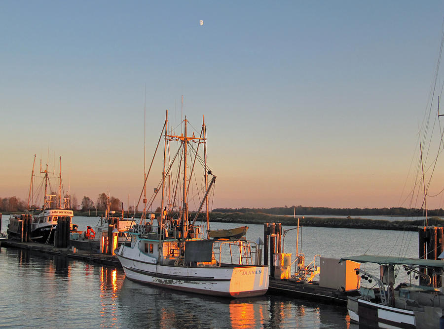 Moon at sunset over the Marina Photograph by Eti Reid