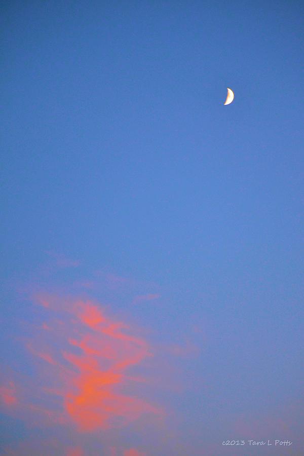 Moon at Sunset Photograph by Tara Potts