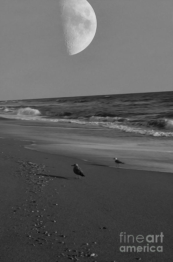 Moon Beach Photograph by Jerry Hart