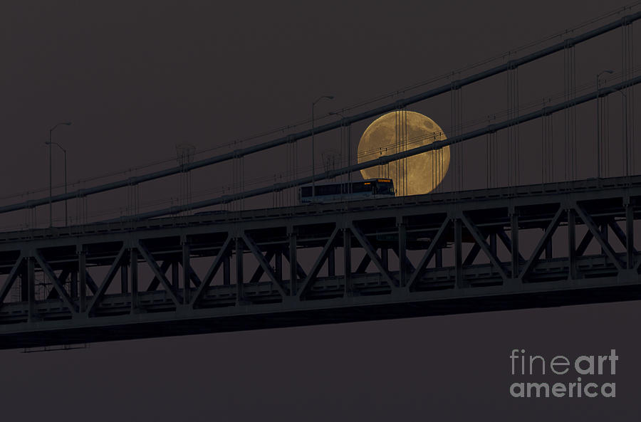 San Francisco Photograph - Moon Bridge Bus by Kate Brown