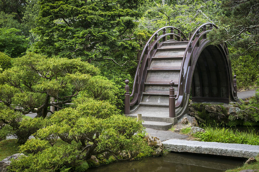 Moon Bridge - Japanese Tea Garden Photograph by Adam Romanowicz