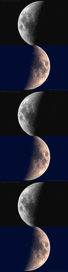 Moon Photograph by Charlotte Schafer