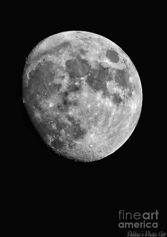 Moon Photograph by Debbie Portwood