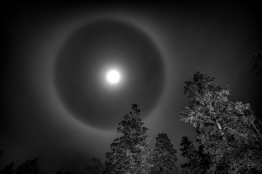 Moon Dog Photograph by Doug Gibbons