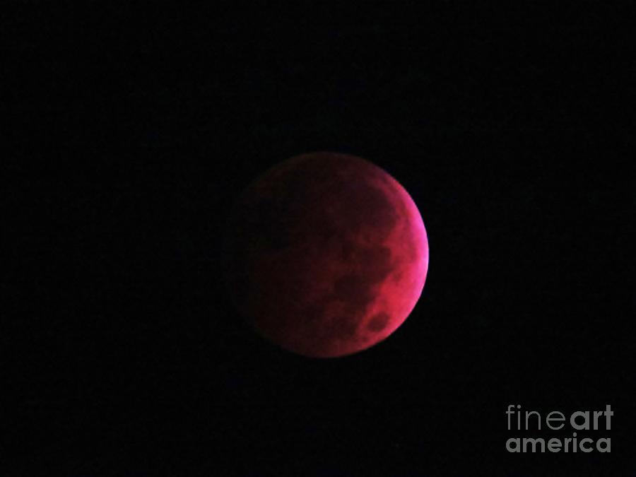 Moon Eclipse Blood Red Photograph by Judy Via-Wolff