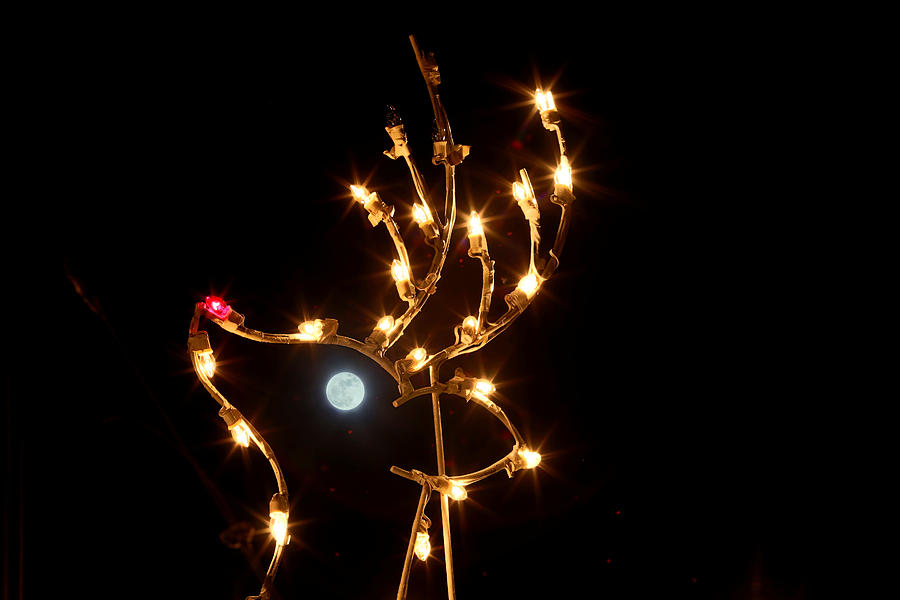 Christmas Photograph - Moon Eye by Jimmy McDonald