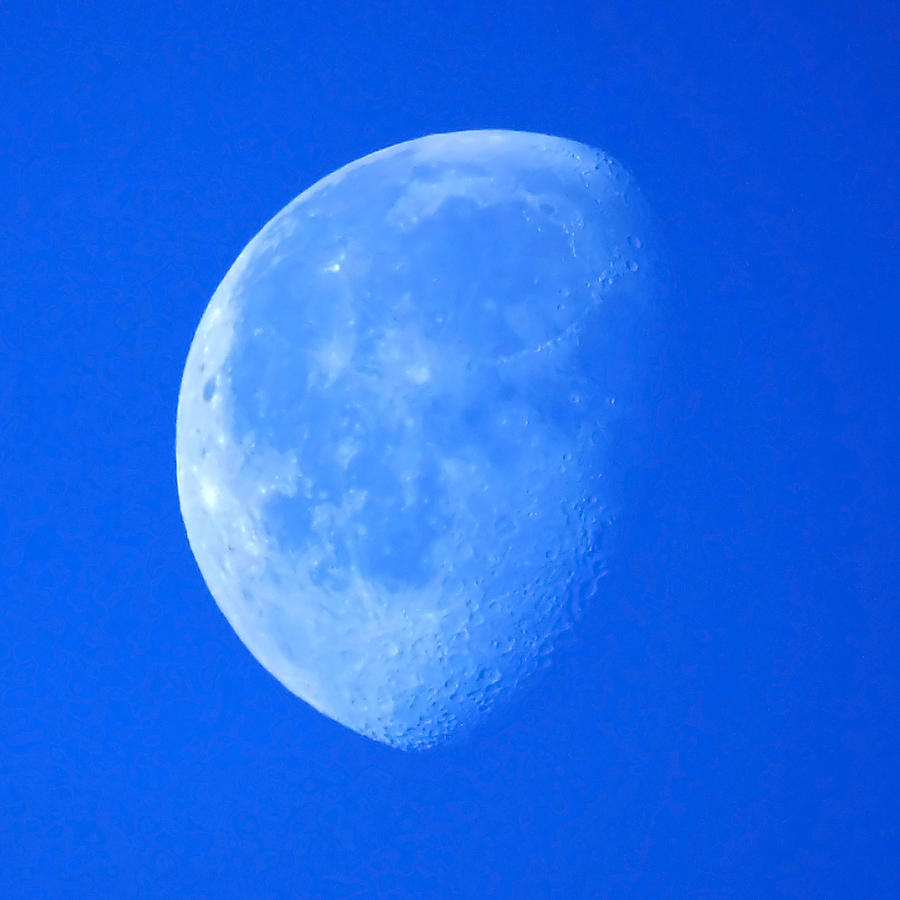 Moon Feb 2nd 2013 Photograph by Ernest Echols