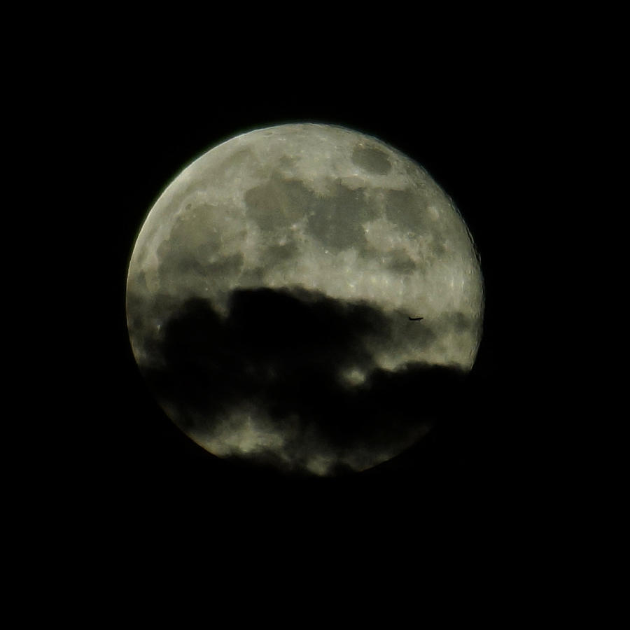 Moon Flight 6 23 2013 Photograph by Ernest Echols