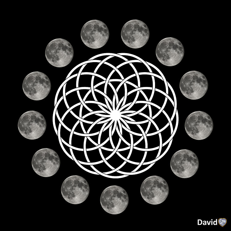 Full Moon Digital Art - Moon Flower by David Diamondheart