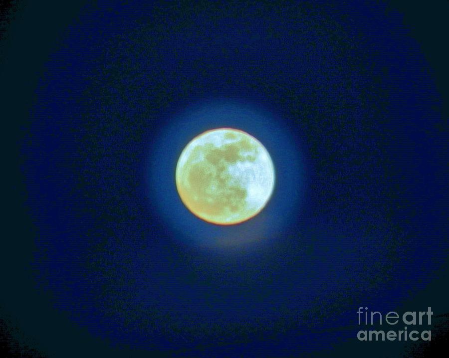 Moon Glow Photograph by Judy Via-Wolff