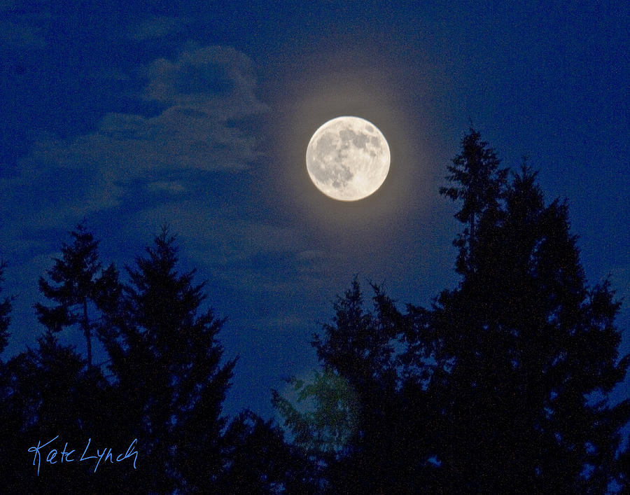 Moon Glow by Kate Lynch Moon Glow by Kate Lynch