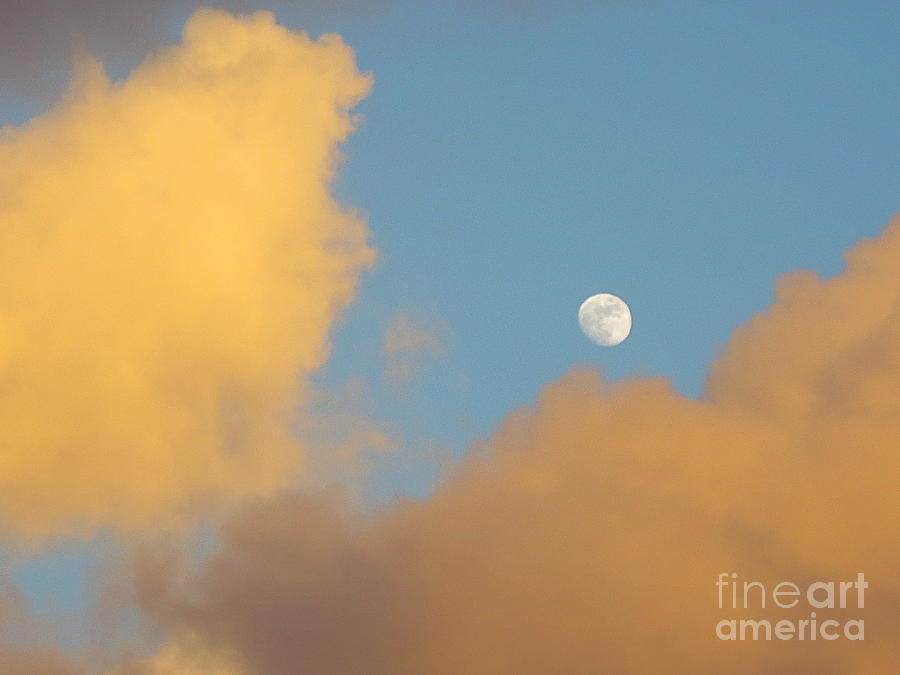 Moon Glowing at Sunset. Photograph by Robert Birkenes