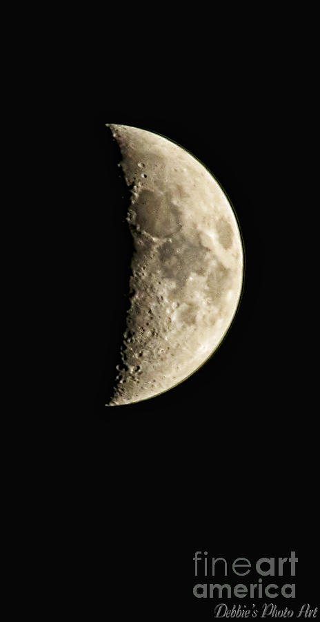 Moon II Photograph by Debbie Portwood