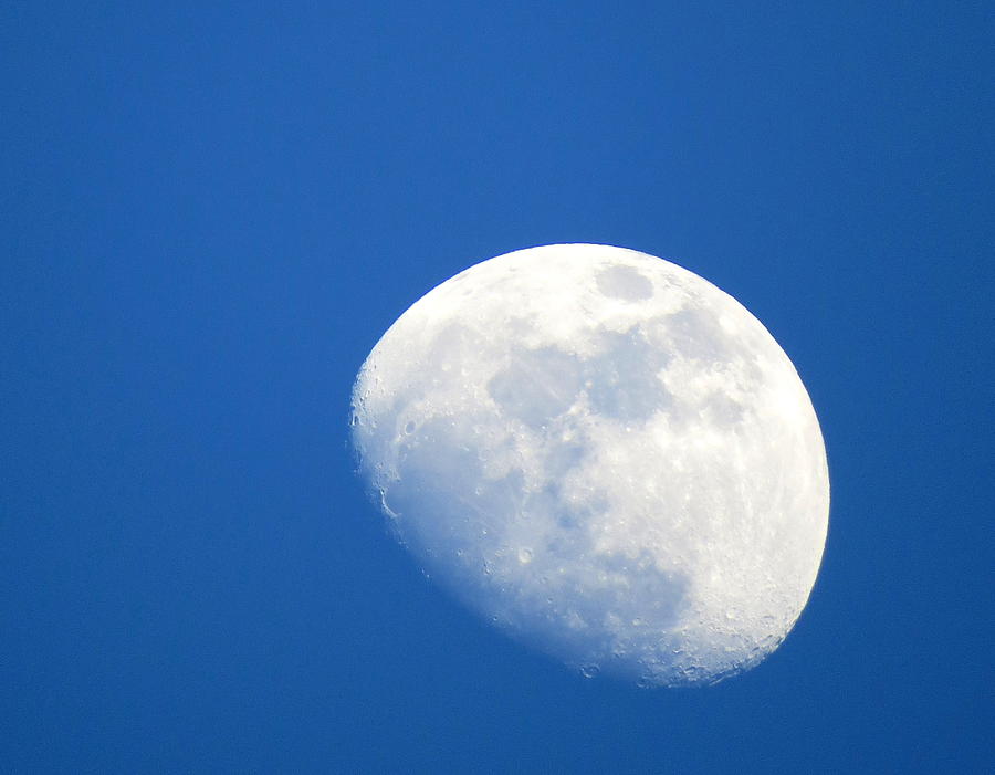 Moon in Blue Photograph by Suzanne DeGeorge