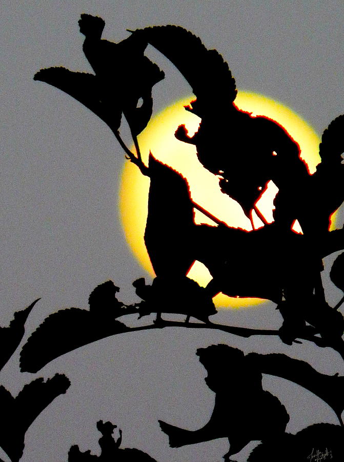 Moon in Silhouette Photograph by Priscilla Batzell Expressionist Art Studio Gallery