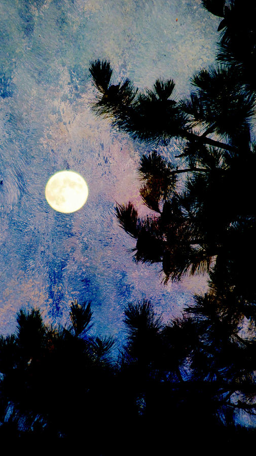 Moon in the Pine and Abstract Blue Painting Digital Art by Anita Burgermeister