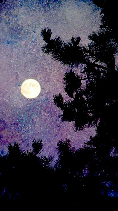 Moon in the Pine and Abstract Purple Painting Digital Art by Anita Burgermeister