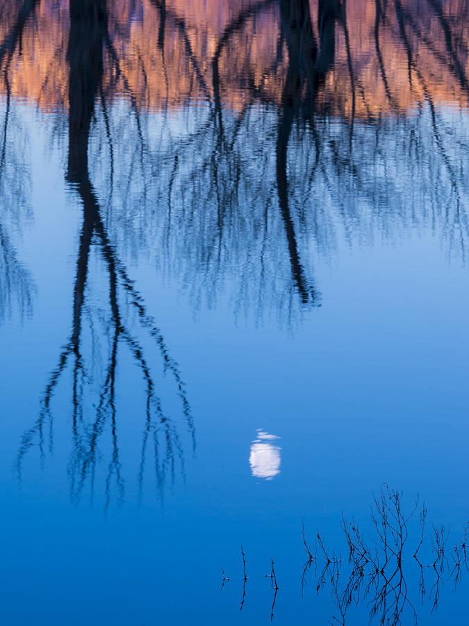 Moon in the water Photograph by Joe Doherty